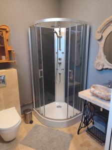 a glass shower in a bathroom with a toilet at Au Clairon in Lamotte-Beuvron