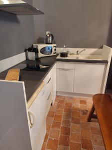 a small kitchen with a sink and a microwave at Au Clairon in Lamotte-Beuvron +1 photo