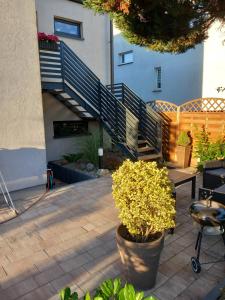 a patio with a staircase in a building with plants at Apartament Laura in Mechelinki