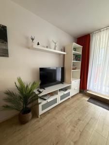 a living room with a flat screen tv and a plant at Ferienwohnung Talblick in Sankt Englmar