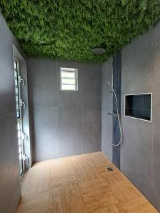 a bathroom with a shower with a green ceiling at Uvini's Mahina Lodge in Mahina