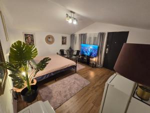 a living room with a bed and a tv at Atia Residence in Sibiu