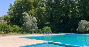 a swimming pool with two lawn chairs and trees at Selale Cennet Evleri in Kemer