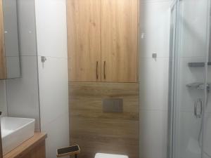 a bathroom with a shower and a toilet and a sink at Noir2 Gniezno in Gniezno