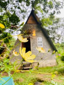 a small house with yellow flowers in front of it at Saruketha Cabana in Kegalle