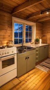 a kitchen with a stove and a sink at Åstin in Dirdal +13 photos
