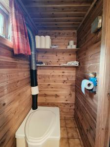 a bathroom with a toilet in a wooden room at Åstin in Dirdal