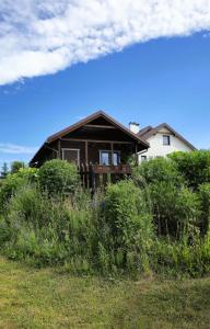 a house sitting on top of a hill with bushes at Domek w polu in Miłomłyn