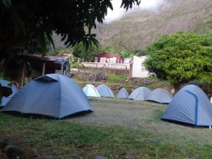 a group of tents sitting in the grass at Gite Chez Théo in Saint-Paul