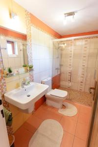 a bathroom with a sink and a toilet and a shower at Drevenička Levanduľa in Liptovská Kokava +22 photos