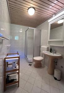 a bathroom with a shower and a toilet and a sink at Hiša ob jezeru - House by the Lake in Kranjska Gora +77 photos