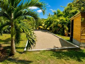 a concrete driveway with a building and a palm tree at Residence Les Palmiers in La Trinité