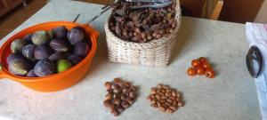 a table with a basket of nuts and a basket of tomatoes at Retro Kvirike in Kvirike