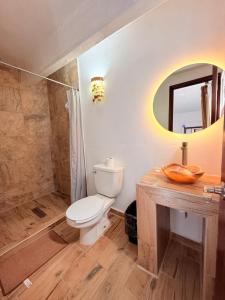 a bathroom with a toilet and a shower and a mirror at Hotel Fernando´s in Tlalpujahua de Rayón