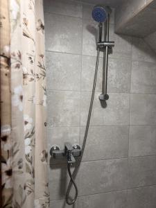 a shower with a shower head in a bathroom at Kalna Raskumu Apartamenti in Vecpiebalga
