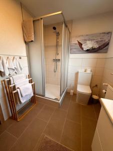 a bathroom with a shower and a toilet at Ferienwohnung mit Schminktisch 2OG in Gräfenhainichen