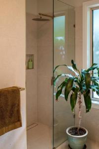 a bathroom with a glass shower with a potted plant at Simple Style Among the Gums 
