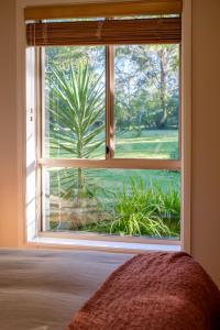 a window in a bedroom looking out at a palm tree at Simple Style Among the Gums 