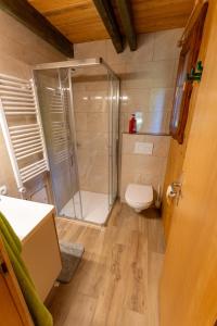 a bathroom with a shower and a toilet at Raj pod vrhom in Poljane nad Škofjo Loko