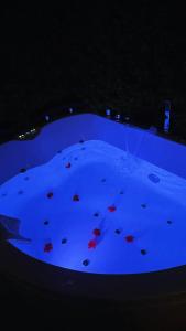 a large pool of blue water with rocks in it at Dream Wellness Suite in Barletta