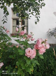 a bunch of pink roses in front of a window at Schwalbennest 