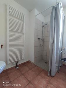 a bathroom with a shower and a toilet at Schwalbennest 