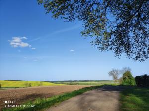 a dirt road in the middle of a field at Schwalbennest 