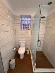 a bathroom with a toilet and a glass shower at Prestige ESP ROOMS in Poliçan