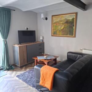 a living room with a couch and a tv at Silnowo Kwietny Raj in Silnowo