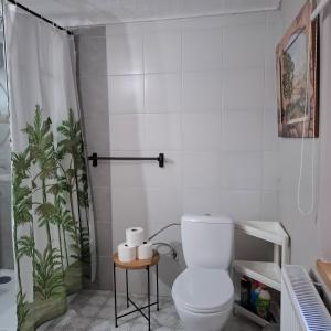 a white bathroom with a toilet and a shower at Silnowo Kwietny Raj in Silnowo +39 photos