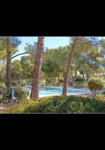 a group of trees in a park with a swimming pool at Paradis bleu in Agay - Saint Raphael