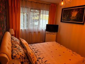 a bedroom with a bed and a television and a window at Apartament Lyonnet in Orşova +3 photos