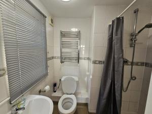a bathroom with a toilet and a sink and a shower at Modern Fully Contained En-Suite Room With Kitchen in Sidcup