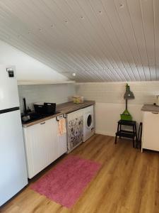 a kitchen with a refrigerator and a dishwasher at The Cherry Tree Place in Góis