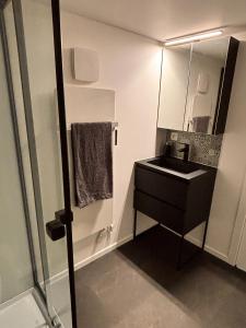 a small bathroom with a sink and a mirror at Hidden Garden in Braine-le-Château