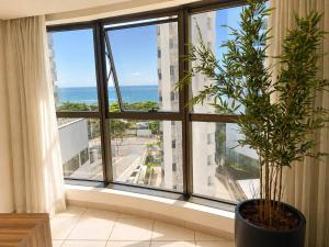 a potted plant in a room with a large window at Luxo na Beira Mar - Beach Class Executive 105 in Recife
