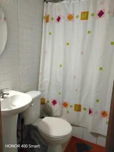 a bathroom with a toilet and a shower curtain at Tu Refugio Natural en Mahuida in Pucón +27 photos