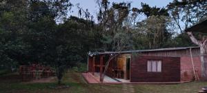 a small cabin in the middle of a forest at Cabaña Don Jorge in Puerto Rico
