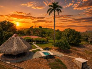 a resort with a palm tree and a pool at Alto Luna casa de campo in La Tebaida