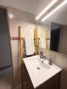 a bathroom with a sink and a mirror at Kessydryss in Sainte-Marie +7 photos