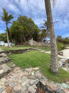 a palm tree in a park with grass and rocks at puerto real isla de margarita in La Playa