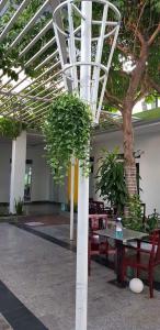 a room with a table and a tree in a building at Hotel Song biển in Phan Thiet
