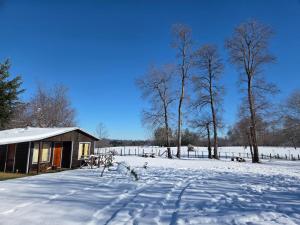 a cabin in a snow covered field with trees at Paraíso Rustico 2 in Manzanar