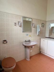 a bathroom with a sink and a toilet and a mirror at Hospedaria do Guata in Tibagi +8 photos