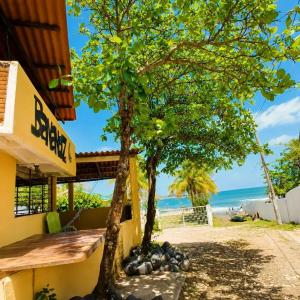 a building with a tree next to the beach at Bananoz Surfhouse in Transito +18 photos
