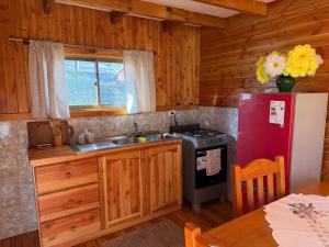 a kitchen with a refrigerator and a sink and a stove at Refugio Barbara - Coñaripe in Coñaripe