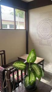 a plant in a pot sitting next to a table at One bedroom apartment Hin Kong in Ko Phangan +5 photos