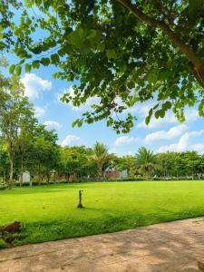 a park with a grassy field with a tree at EcoCity Suites BMT in Buôn Enao +5 photos