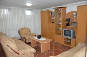 a living room with two chairs and a tv at Villa Stella Smederevo in Smederevo