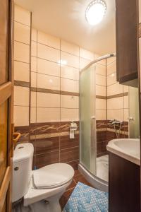 Koupelna v ubytování Hotel Foisor